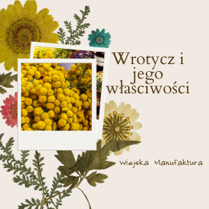 Wrotycz i jego właściwości